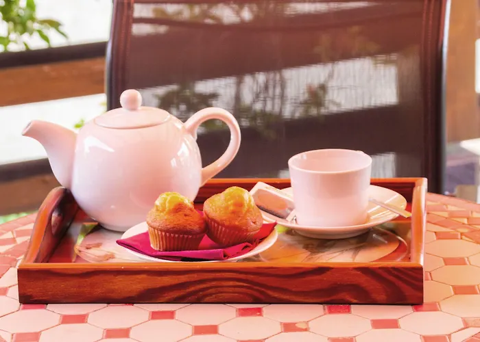 De Salut Somlom 酒店 圣伊斯特维-德帕劳托德拉